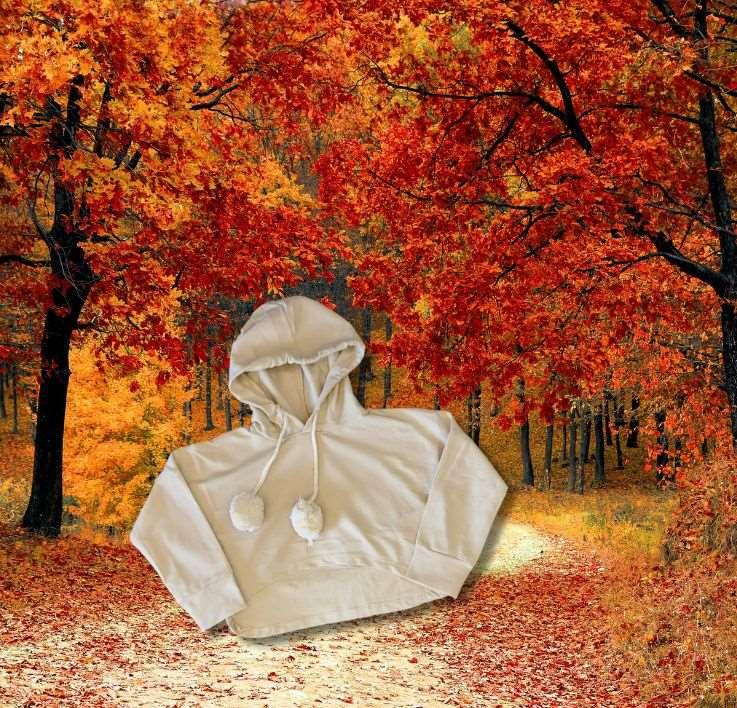 Hooded High quality Cotton Pullover, Shirt & Pants Sets - Kids girls (3 Pcs) - Novo Kids