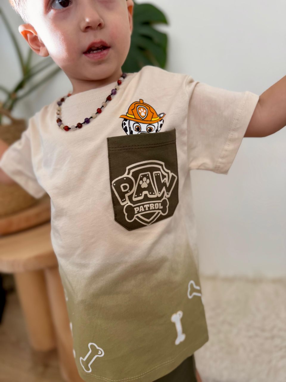 PAW Patrol Character T-Shirt and Shorts Set for Boys - Kids Boys