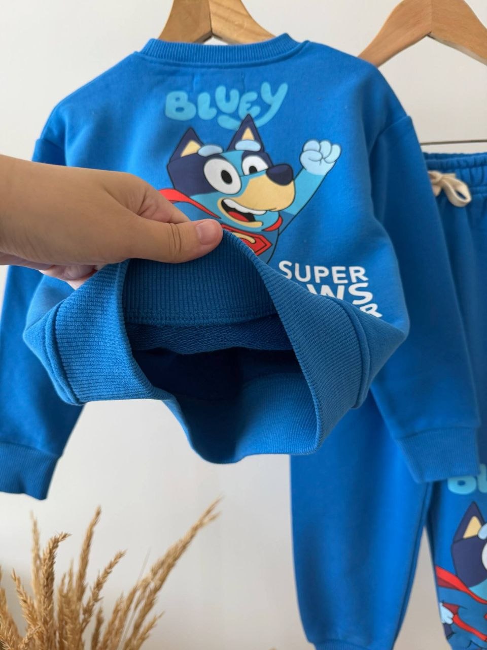 Super Paws Bluey Tracksuit Set– Kids Boys (Ages 2 to 8)
